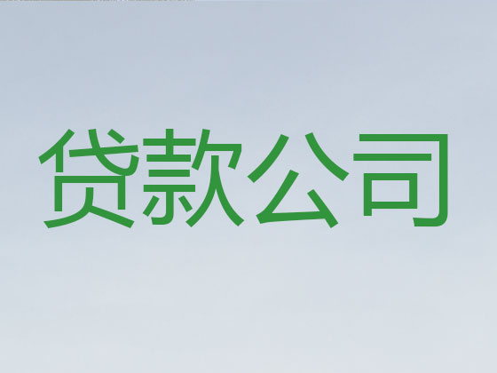 陇南抵押贷款-银行信用贷款